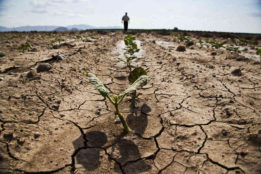 Drought in Southern Africa