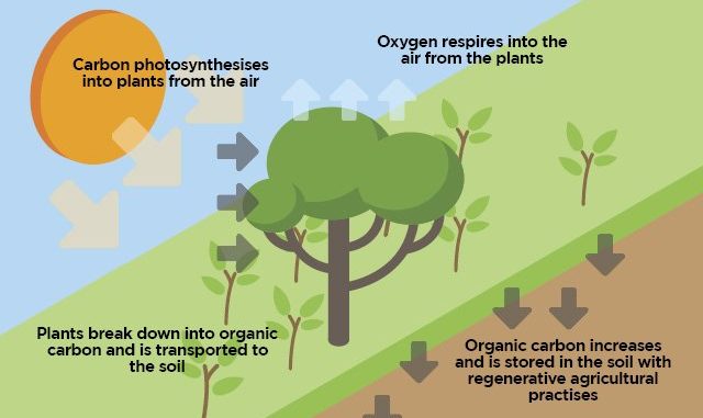 GEN-Regenerative-farming2