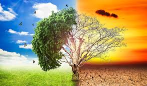 GLOBAL WARMING