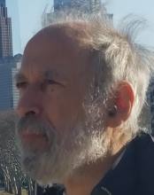 David-Schwartzman