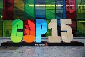 COP 15